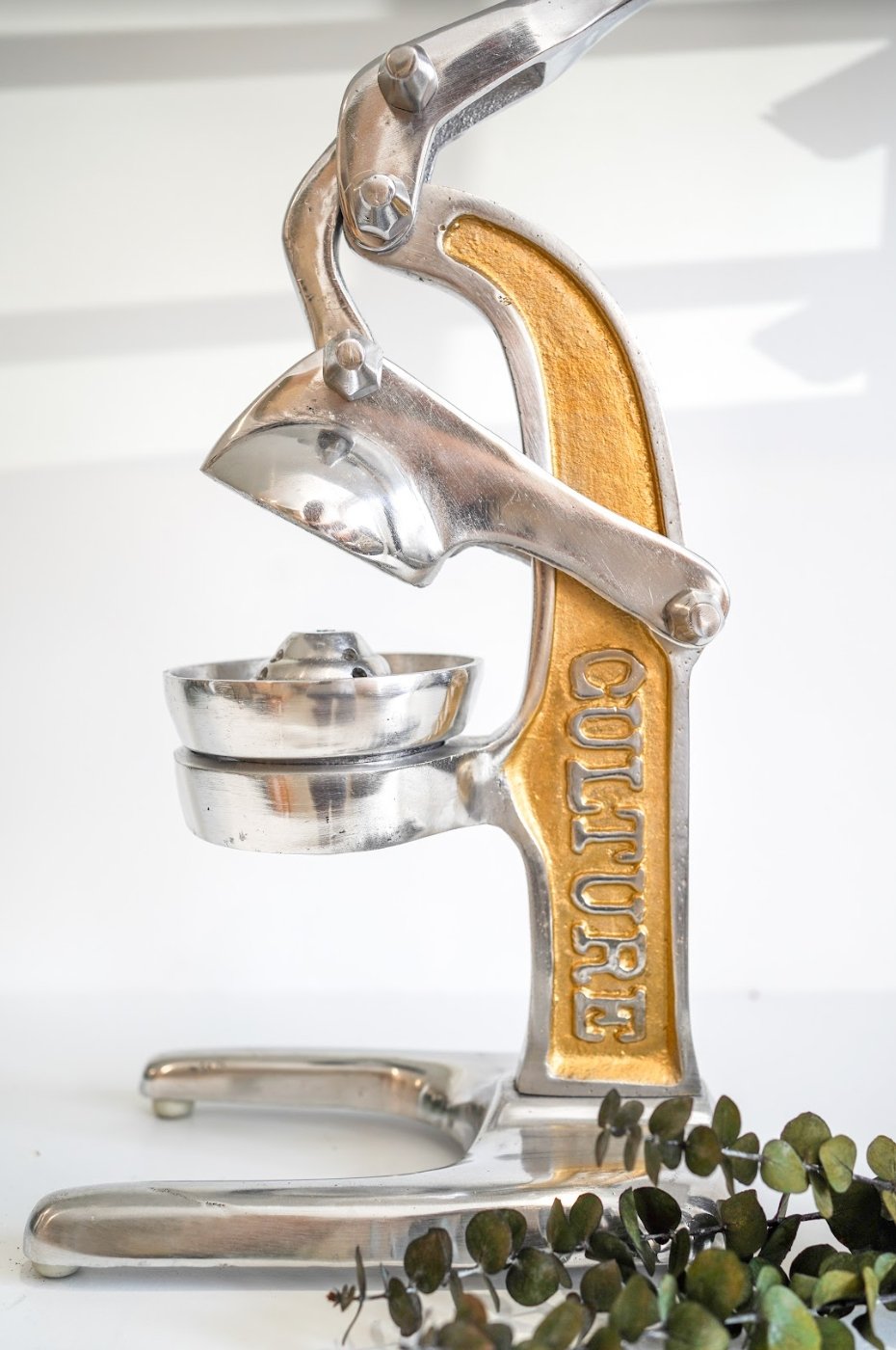 Citrus Juicer
