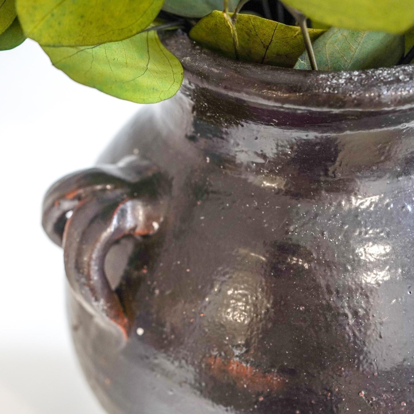 The Iconic Vase - LJ Living