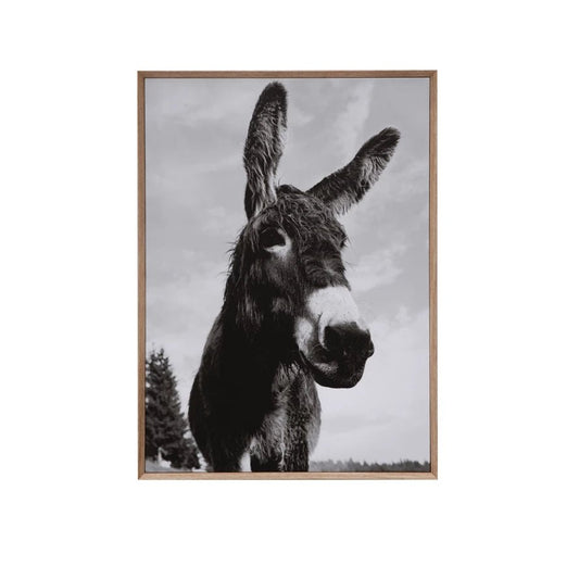 Donkey Framed Wall Art